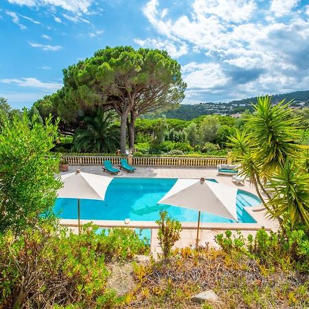 Paradis Provencal แซ็งต์-แมกซีม ภายนอก รูปภาพ
