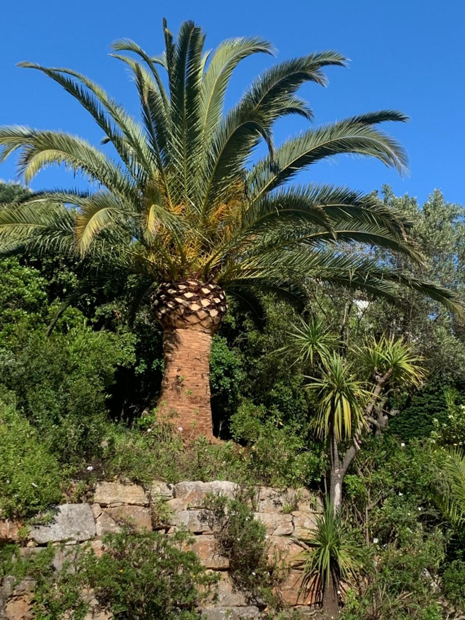 Paradis Provencal แซ็งต์-แมกซีม ภายนอก รูปภาพ